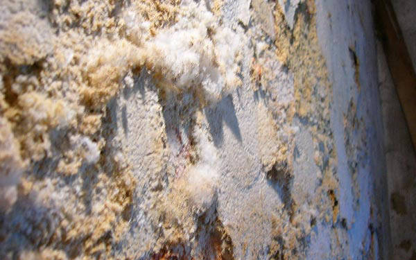 HUMIDEXPERT - Efflorescence de sels sur des murs calcaires